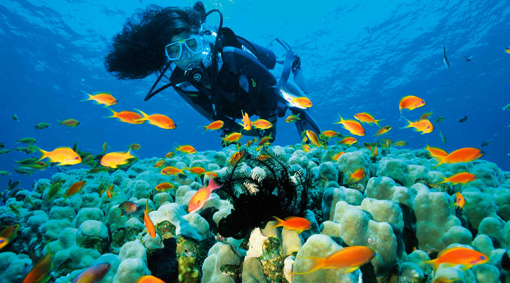 Gorgonia Beach Resort, Marsa Alam, Mar Rosso, Egitto, vacanze, immersioni, barriera corallina