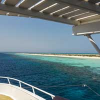 immersioni e snorkeling mar rosso