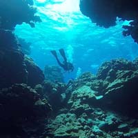 immersioni e snorkeling mar rosso