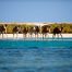 Gorgonia Beach Resort, Marsa Alam, Mar Rosso, Egitto, vacanze, El Qulaan