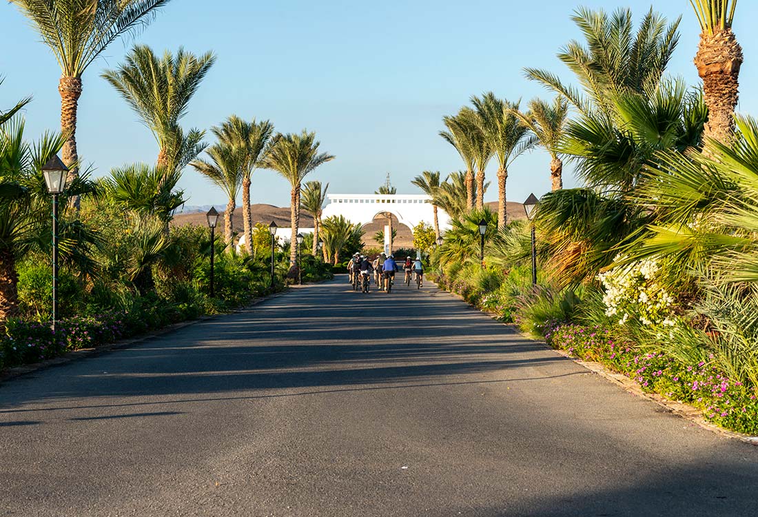 Gorgonia Beach Resort, Marsa Alam, Mar Rosso, Egitto, vacanze, sport, deserto, e-bike Wadi el Gemal National Park