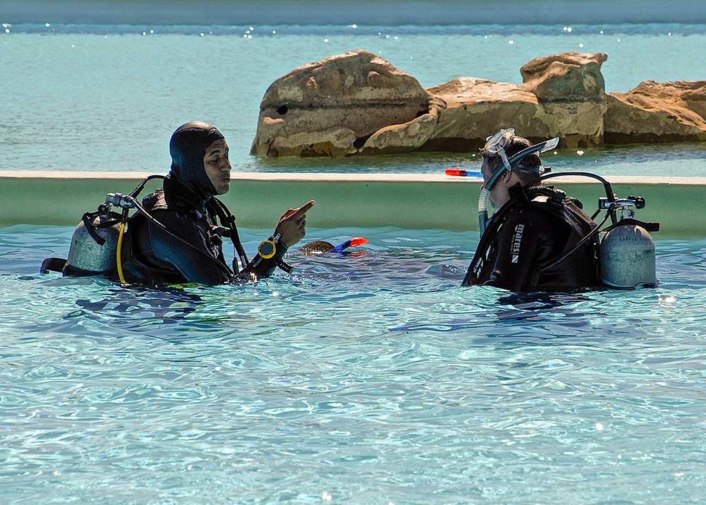 Gorgonia Beach Resort, Marsa Alam, Mar Rosso, Egitto, vacanze, corsi sub