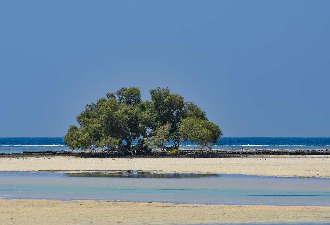 Gorgonia Beach Resort, Marsa Alam, Mar Rosso, Egitto, vacanze, El Qulaan