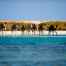 Gorgonia Beach Resort, Marsa Alam, Mar Rosso, Egitto, vacanze, El Qulaan