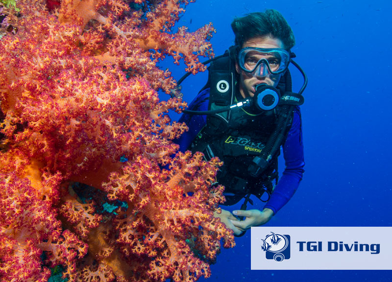 Gorgonia Beach Resort, Marsa Alam, Mar Rosso, Egitto, vacanze, barriera corallina immersioni TGI diving