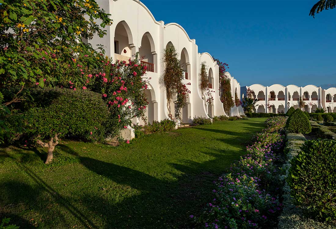 Gorgonia Beach Resort, Marsa Alam, Mar Rosso, Egitto, vacanze, Giardini