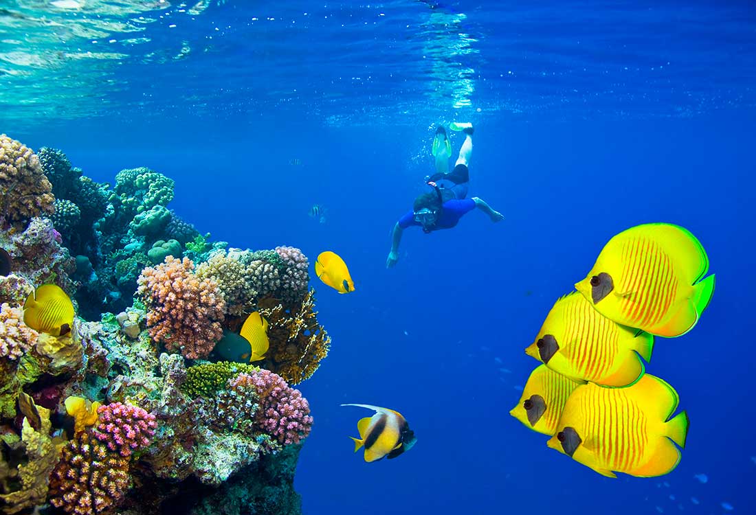 Gorgonia Beach Resort, Marsa Alam, Mar Rosso, Egitto, vacanze snorkeling 